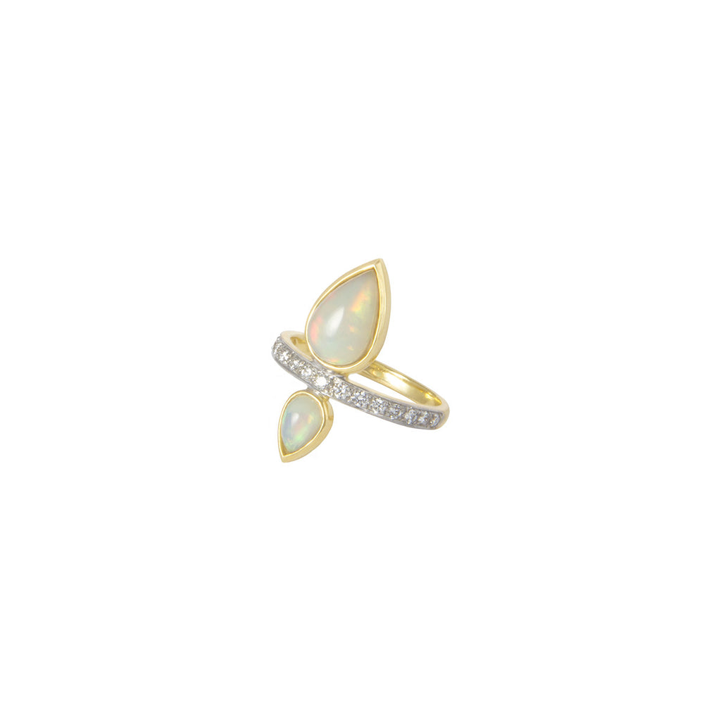 Mirror Ring